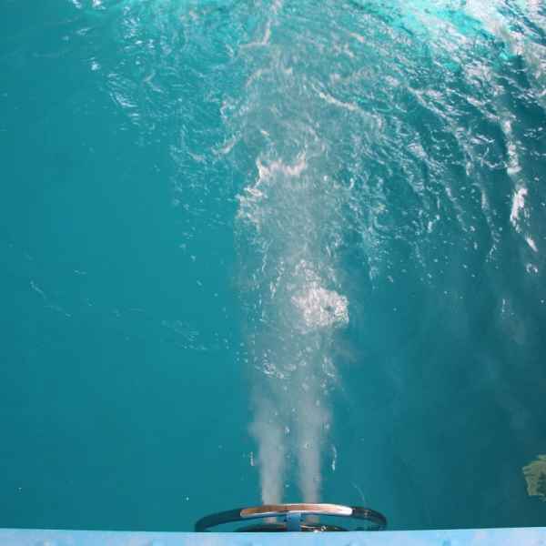 пленочный бассейн в ялте